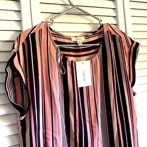 NWT Striped Short Sleeved Top